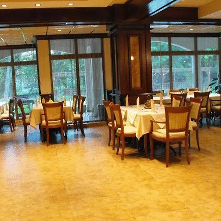 酒店 帕克酒店 卡尔诺巴特